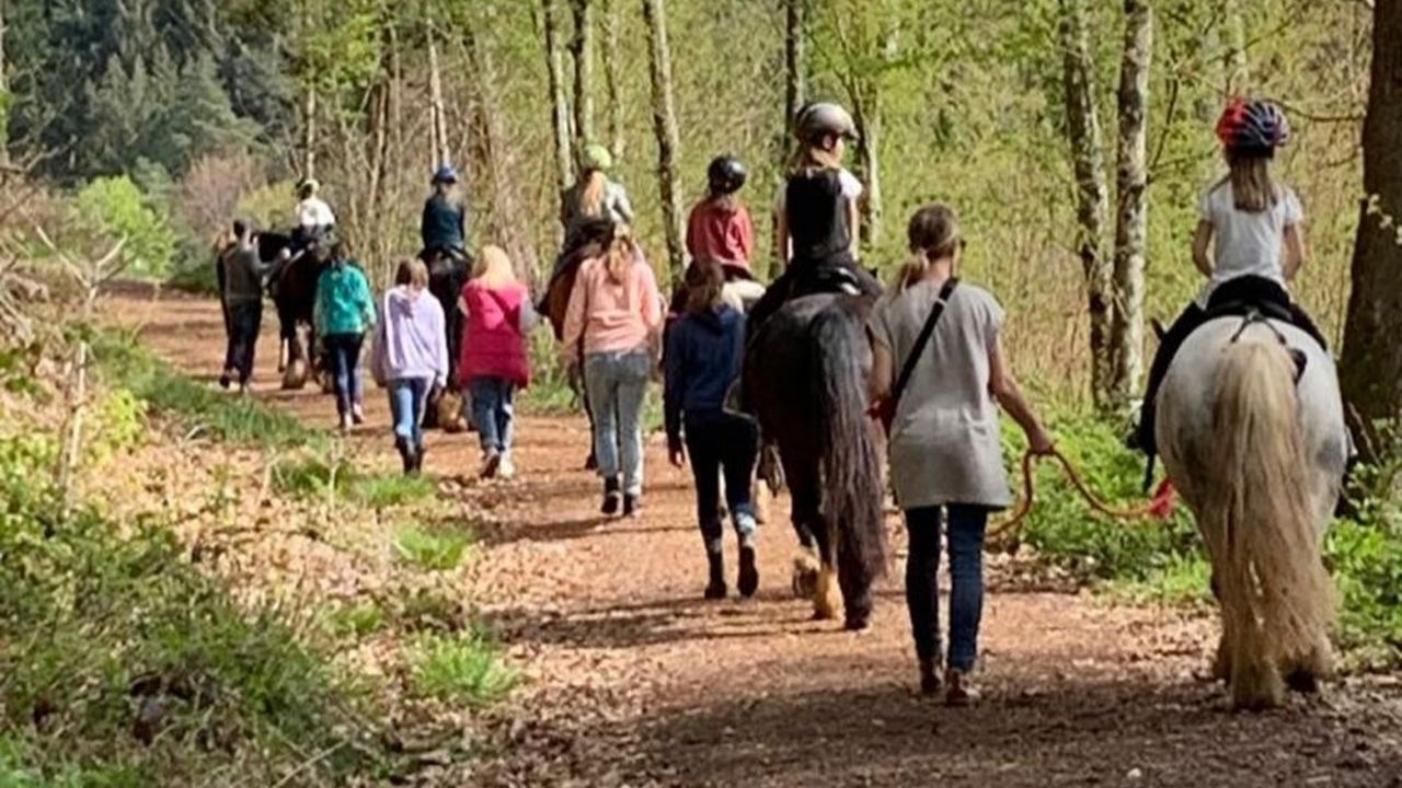 Pumucklritt-Waldrunde für groß und klein Pumucklritt-Waldrunde für groß und klein